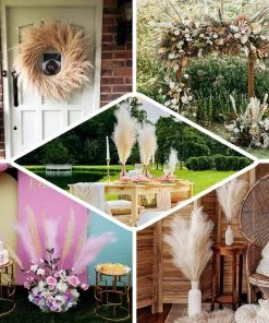 HIER_1400 3 Stems | 44