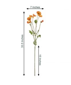 HIER_1400 2 Stems | 33