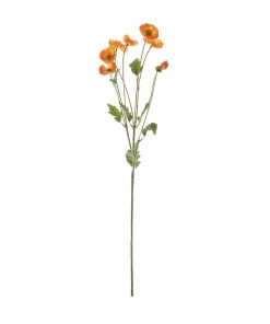 HIER_1400 2 Stems | 33