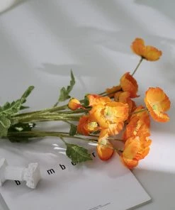 HIER_1400 2 Stems | 33