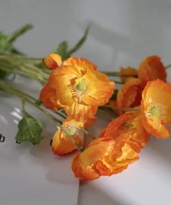 HIER_1400 2 Stems | 33