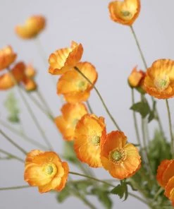 HIER_1400 2 Stems | 33