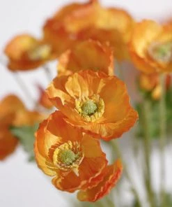 HIER_1400 2 Stems | 33