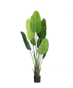 HIER_1600 2 Pack | 5ft Faux Potted Bird Of Paradise Plant 23 HIER_1600 2 Pack | 5ft Faux Potted Bird Of Paradise Plant