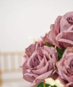 HIER_1300 2 Bushes | 18