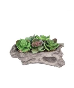 HIER_1710 Artificial Succulents & Terrariums Wholesale 7