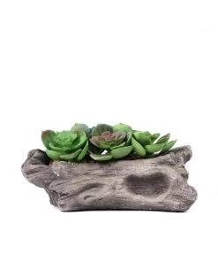 HIER_1710 Artificial Succulents & Terrariums Wholesale 7