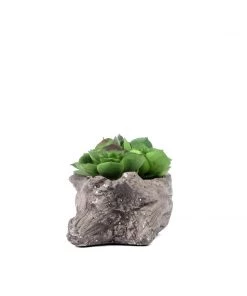 HIER_1710 Artificial Succulents & Terrariums Wholesale 7