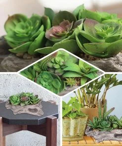 HIER_1710 Artificial Succulents & Terrariums Wholesale 7