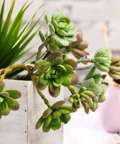 HIER_1600 3 Pack | 13" Assorted Artificial Echeveria Stem Succulent Air Plants Artificial Succulents & Terrariums Wholesale