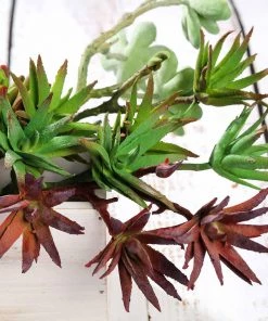 HIER_1600 Artificial Succulents & Terrariums Wholesale 3 Pack | 13" Assorted Artificial Yucca Aloe Vera Succulent Air Plants