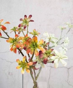 HIER_1600 3 Pack | 18" Assorted Artificial Aeonium Spray Succulent Air Plants Artificial Succulents & Terrariums Wholesale