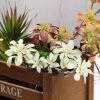 HIER_1600 3 Pack | 18" Assorted Artificial Aeonium Spray Succulent Air Plants Artificial Succulents & Terrariums Wholesale