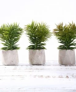 HIER_1600 3 Pack | 8" Ceramic Planter Pot & Artificial Crassula Succulent Plants