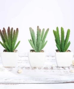 HIER_1600 3 Pack | 7