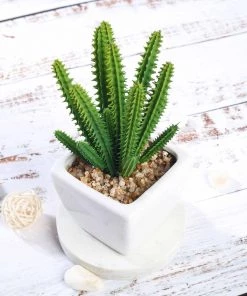 HIER_1600 3 Pack | 7