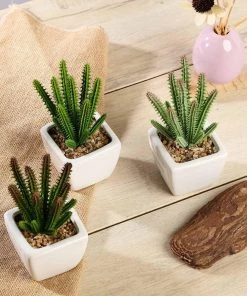 HIER_1600 3 Pack | 7" Ceramic Planter Pot & Artificial Cacti Succulent Plants