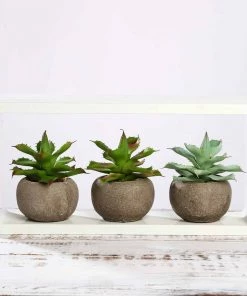 HIER_1600 3 Pack | 5" Ceramic Planter Pot & Artificial Aloe Succulent Plants