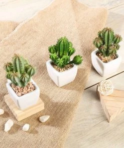 HIER_1600 3 Pack | 5" Ceramic Planter Pot & Artificial Cacti Succulent Plants