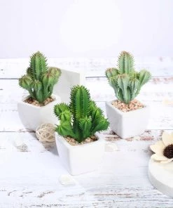HIER_1600 3 Pack | 5" Ceramic Planter Pot & Artificial Cacti Succulent Plants