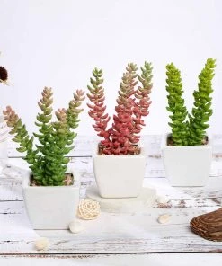 HIER_1600 3 Pack | 8" Ceramic Planter Pot & Artificial Sedum Succulent Plants