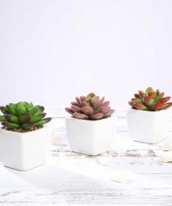 HIER_1600 3 Pack | 3" Ceramic Planter Pot & Artificial Echeveria Elegans Plants Chargers & Centerpieces