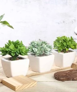 HIER_1600 Chargers & Centerpieces 3 Pack | 4