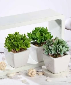 HIER_1600 Chargers & Centerpieces 3 Pack | 4" Ceramic Planter Pot & Green Artificial Echeveria Plants