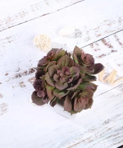 HIER_1600 3 Pack | 5" Ceramic Planter Pot & Artificial Echeveria Elegans Plants 19 HIER_1600 3 Pack | 5