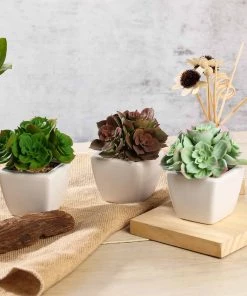 HIER_1600 3 Pack | 5" Ceramic Planter Pot & Artificial Echeveria Elegans Plants