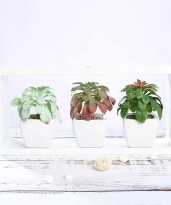 HIER_1600 Chargers & Centerpieces 3 Pack | 5" Ceramic Planter Pot & Artificial Elegans Succulent Plants