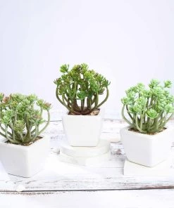 HIER_1600 3 Pack | 7" Ceramic Planter Pot & Artificial Crassula Succulent Plants Chargers & Centerpieces