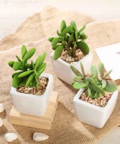 HIER_1600 3 Pack | 3" Ceramic Planter Pot & Artificial Mini Jade Succulent Plant