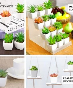 HIER_1600 Chargers & Centerpieces 3 Pack | 4" Ceramic Planter Pot & Artificial Echeveria Elegans Plants 18 HIER_1600 Chargers & Centerpieces 3 Pack | 4