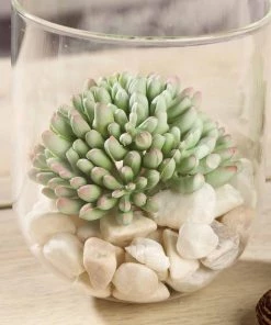HIER_1600 3 Pack | 4" Artificial PVC Mini Jelly Bean Decorative Succulent Plants Artificial Succulents & Terrariums Wholesale 19 HIER_1600 3 Pack | 4