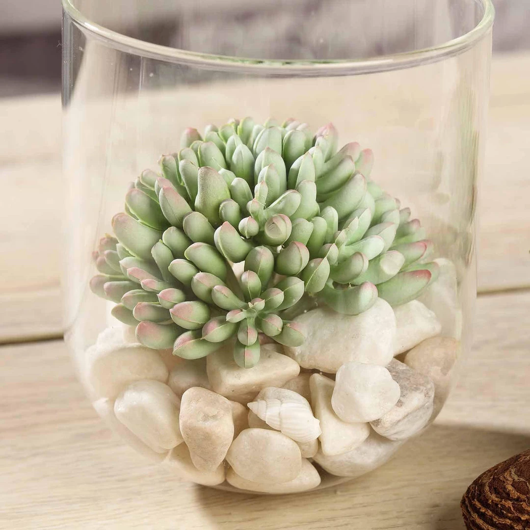 HIER_1600 3 Pack | 4" Artificial PVC Mini Jelly Bean Decorative Succulent Plants Artificial Succulents & Terrariums Wholesale 7 HIER_1600 3 Pack | 4" Artificial PVC Mini Jelly Bean Decorative Succulent Plants Artificial Succulents & Terrariums Wholesale