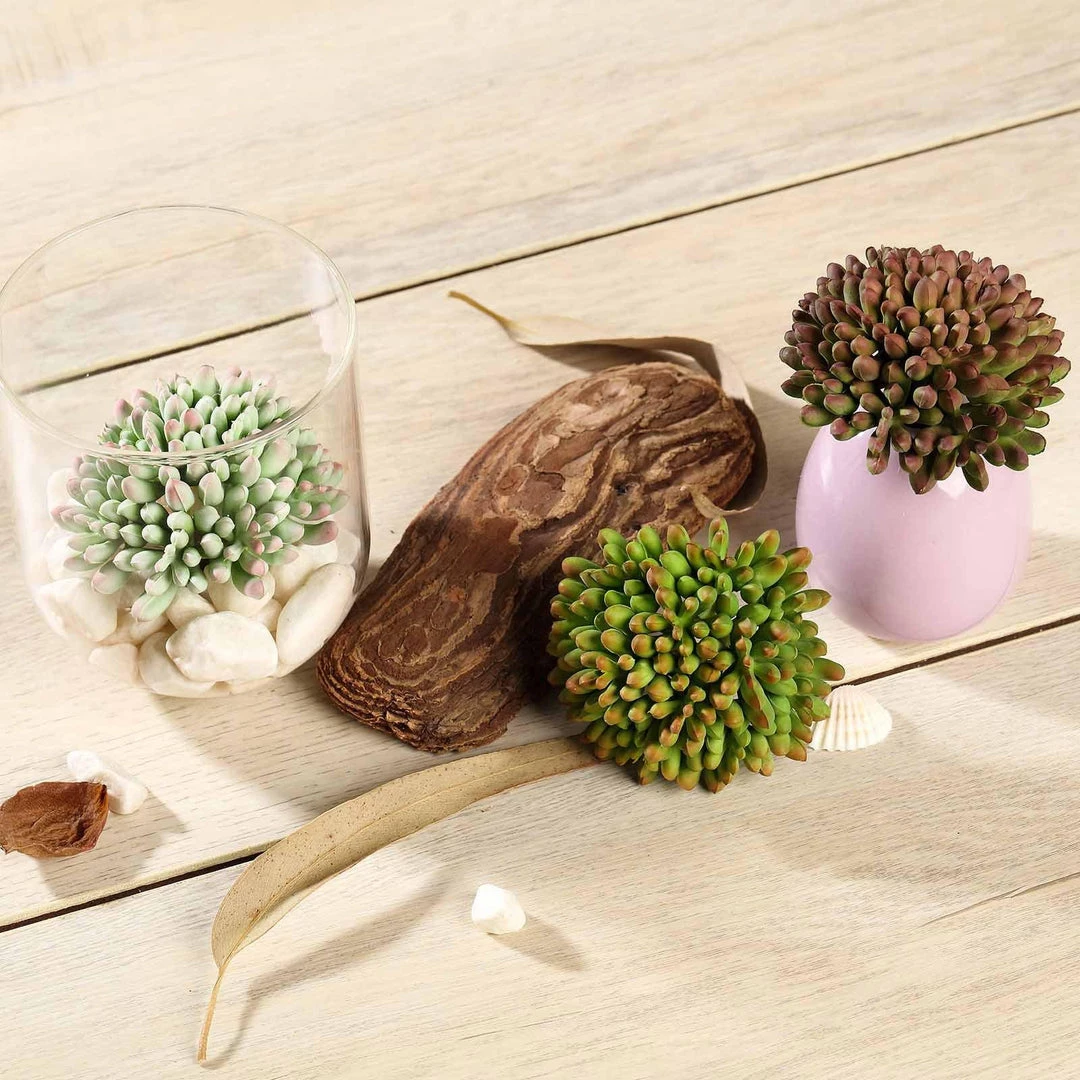 HIER_1600 3 Pack | 4" Artificial PVC Mini Jelly Bean Decorative Succulent Plants Artificial Succulents & Terrariums Wholesale 2 HIER_1600 3 Pack | 4" Artificial PVC Mini Jelly Bean Decorative Succulent Plants Artificial Succulents & Terrariums Wholesale