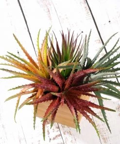 HIER_1600 Artificial Succulents & Terrariums Wholesale 3 Pack | 12" Artificial PVC Aloe Cameronii Decorative Succulent Plants