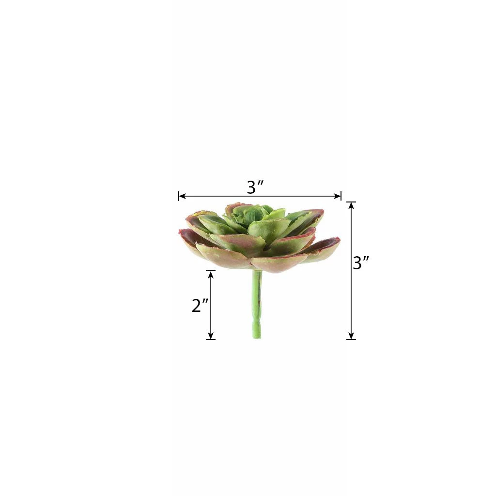 HIER_1600 Artificial Succulents & Terrariums Wholesale 3 Pack | 3" Artificial PVC Echeveria Orion Decorative Succulent Plants 3 HIER_1600 Artificial Succulents & Terrariums Wholesale 3 Pack | 3" Artificial PVC Echeveria Orion Decorative Succulent Plants