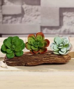 HIER_1600 Artificial Succulents & Terrariums Wholesale 3 Pack | 3" Artificial PVC Echeveria Orion Decorative Succulent Plants