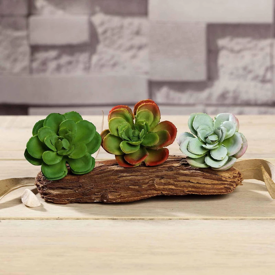 HIER_1600 Artificial Succulents & Terrariums Wholesale 3 Pack | 3" Artificial PVC Echeveria Orion Decorative Succulent Plants 2 HIER_1600 Artificial Succulents & Terrariums Wholesale 3 Pack | 3" Artificial PVC Echeveria Orion Decorative Succulent Plants