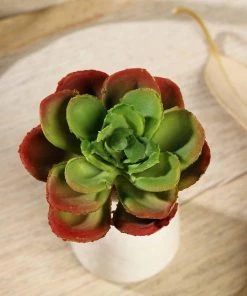HIER_1600 Artificial Succulents & Terrariums Wholesale 3 Pack | 3" Artificial PVC Echeveria Orion Decorative Succulent Plants 18 HIER_1600 Artificial Succulents & Terrariums Wholesale 3 Pack | 3