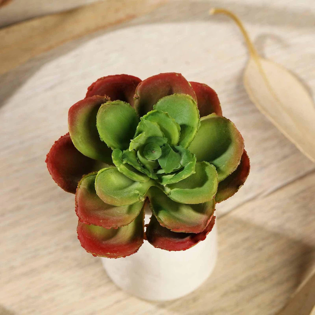 HIER_1600 Artificial Succulents & Terrariums Wholesale 3 Pack | 3" Artificial PVC Echeveria Orion Decorative Succulent Plants 6 HIER_1600 Artificial Succulents & Terrariums Wholesale 3 Pack | 3" Artificial PVC Echeveria Orion Decorative Succulent Plants