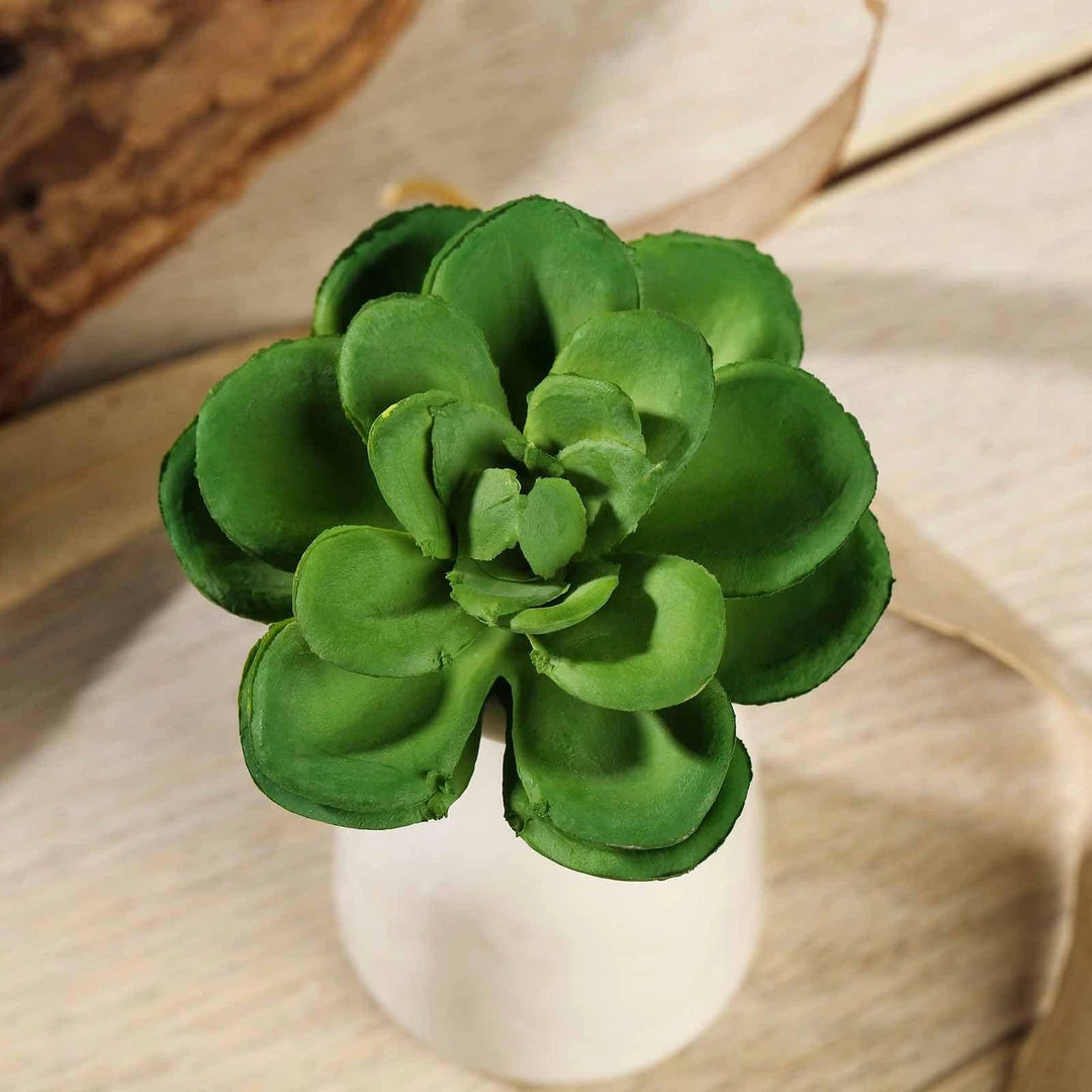 HIER_1600 Artificial Succulents & Terrariums Wholesale 3 Pack | 3" Artificial PVC Echeveria Orion Decorative Succulent Plants 7 HIER_1600 Artificial Succulents & Terrariums Wholesale 3 Pack | 3" Artificial PVC Echeveria Orion Decorative Succulent Plants