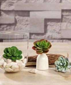 HIER_1600 Artificial Succulents & Terrariums Wholesale 3 Pack | 3" Artificial PVC Echeveria Orion Decorative Succulent Plants