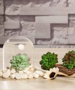 HIER_1600 3 Pack | 3" Artificial PVC Parva Echeveria Decorative Succulent Plants