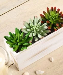 HIER_1600 3 Pack | 6" Artificial PVC Spike Aeonium Decorative Succulent Plants Artificial Succulents & Terrariums Wholesale
