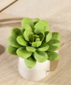 HIER_1600 3 Pack | 3" Artificial PVC Roundleaf Echeveria Stem Succulent Plants Artificial Succulents & Terrariums Wholesale