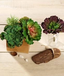 HIER_1600 3 Pack | 6" Artificial PVC Wavy Kalanchoe Decorative Succulent Plants