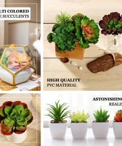 HIER_1600 Artificial Succulents & Terrariums Wholesale 3 Pack | 3" Artificial PVC Echeveria Orion Decorative Succulent Plants 17 HIER_1600 Artificial Succulents & Terrariums Wholesale 3 Pack | 3
